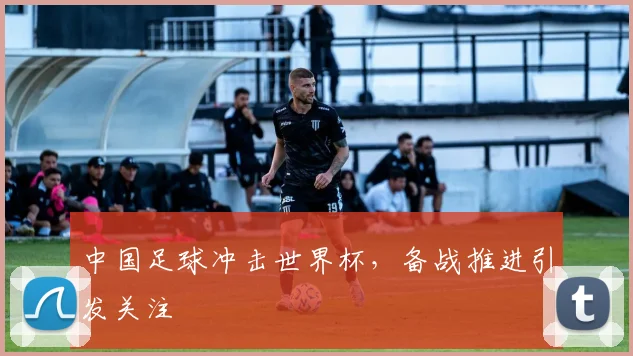 中国足球冲击世界杯，备战推进引发关注