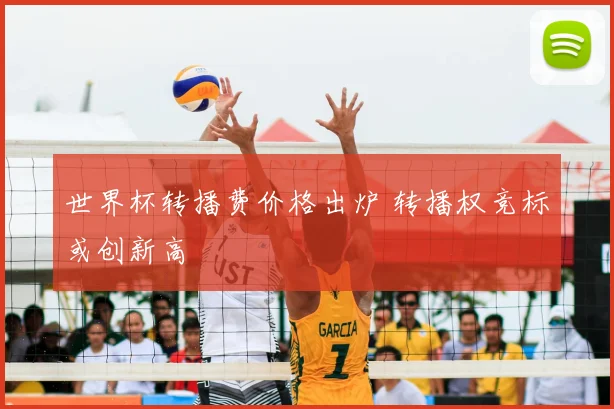 世界杯转播费价格出炉 转播权竞标或创新高