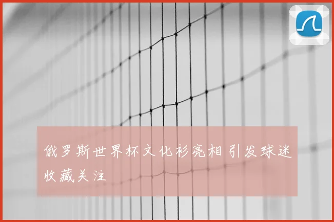 俄罗斯世界杯文化衫亮相 引发球迷收藏关注