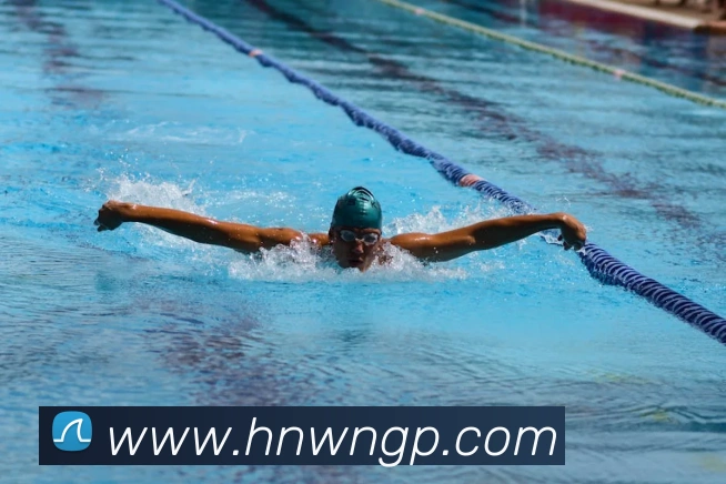 多媒体互动体验